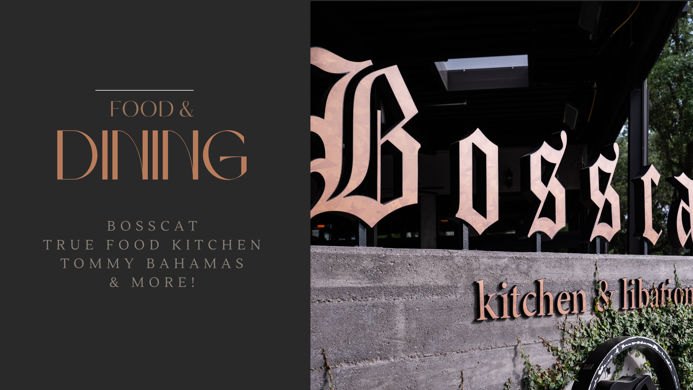 dining options at market street woodlands next to phenix salons woodlands
